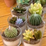 7af37f41d440296aaa3cf2929938a164