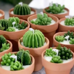 Captura-de-tela-2022-08-24-121738